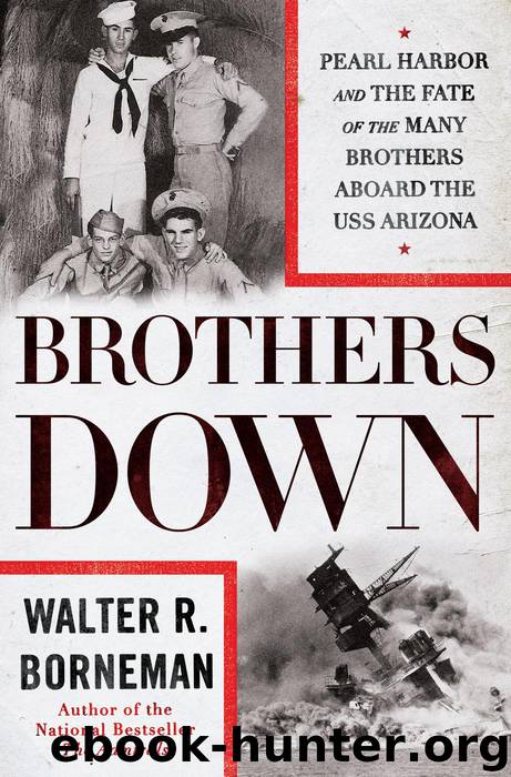 Brothers Down by Walter R. Borneman