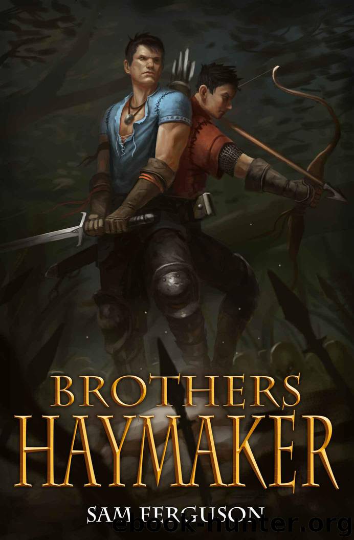 Brothers Haymaker (Haymaker Adventures Book 2) by Ferguson Sam
