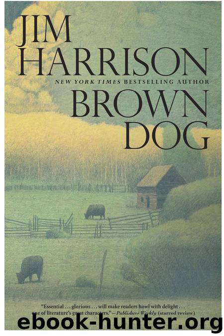 Brown Dog: Novellas by Harrison Jim