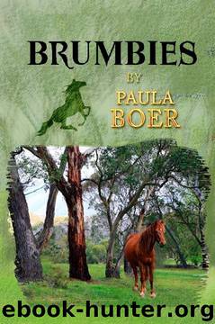 Brumbies by Paula Boer