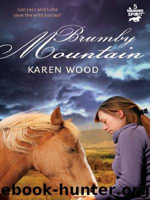 Brumby Mountain by Karen Wood