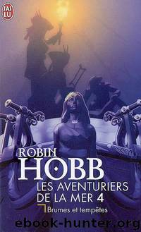 Brumes et tempetes by Hobb Robin