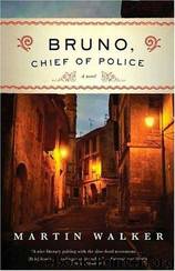 Bruno, Chief Of Police by Martin Walker