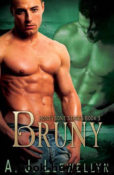 Bruny by A.J. Llewellyn