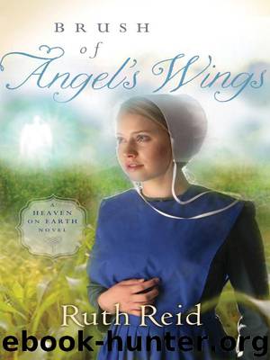Brush of Angel's Wings by Ruth Reid
