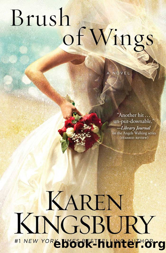 Brush of Wings by Kingsbury Karen
