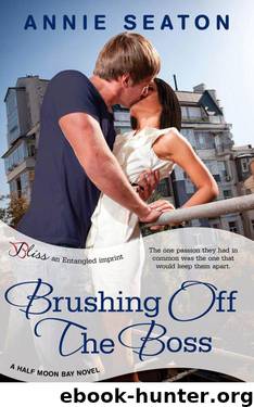 Brushing Off the Boss: A Half Moon Bay Novel (Entangled Bliss) by Annie Seaton
