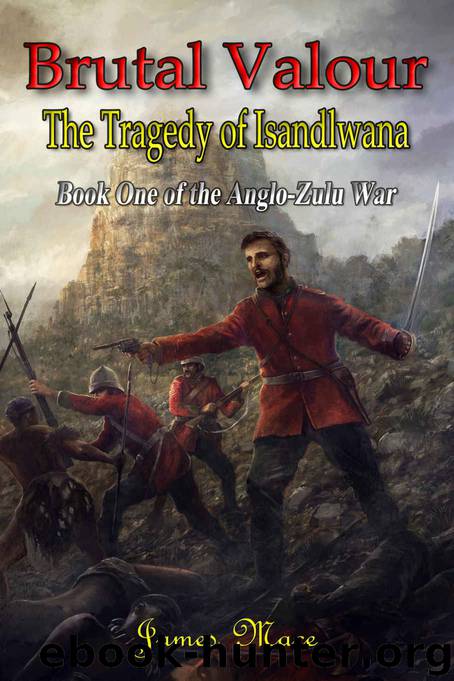 Brutal Valour: The Tragedy of Isandlwana (The Anglo-Zulu War Book 1) by James Mace