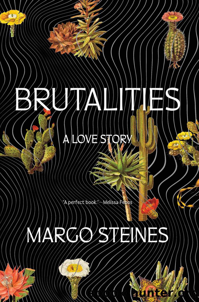 Brutalities by Margo Steines
