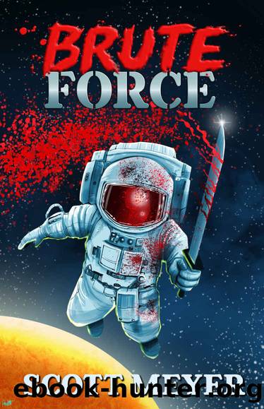 Brute Force by Scott meyer