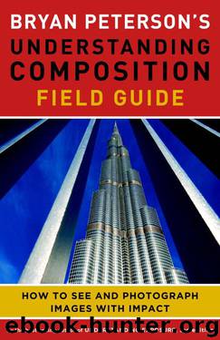 Bryan Peterson's Understanding Composition Field Guide: How to See and Photograph Images with Impact by Bryan F. Peterson