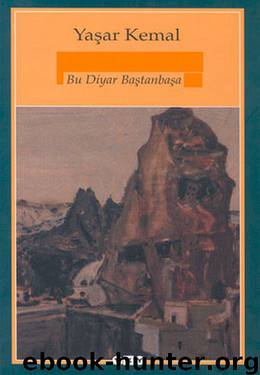 Bu Diyar Baştan Başa by Yaşar Kemal