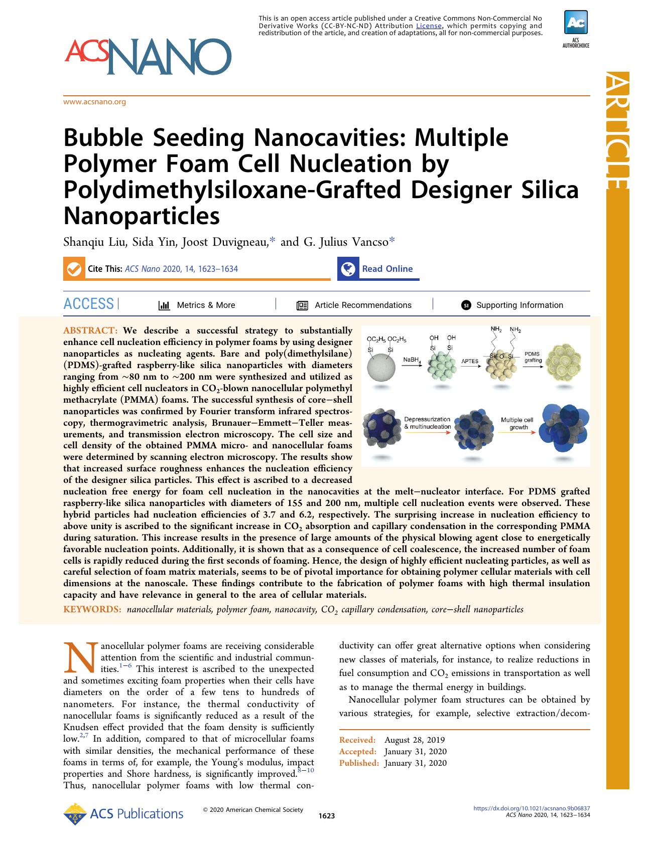 Bubble Seeding Nanocavities: Multiple Polymer Foam Cell Nucleation by Polydimethylsiloxane-Grafted Designer Silica Nanoparticles by Shanqiu Liu Sida Yin Joost Duvigneau and G. Julius Vancso