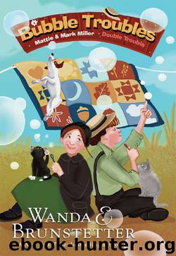 Bubble Troubles by Wanda E. Brunstetter