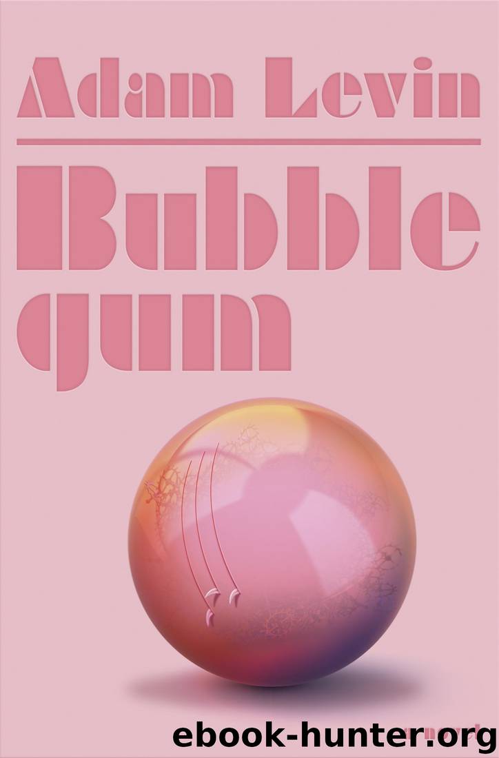 Bubblegum: A Novel by Adam Levin