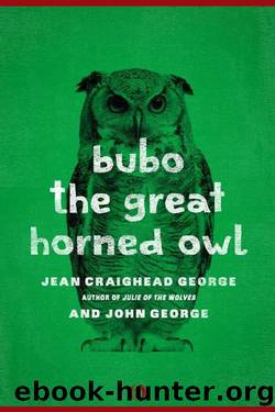 Bubo, the Great Horned Owl (American Woodland Tales) by Jean Craighead George & John George