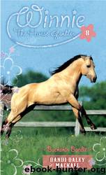 Buckskin Bandit by Mackall Dandi Daley