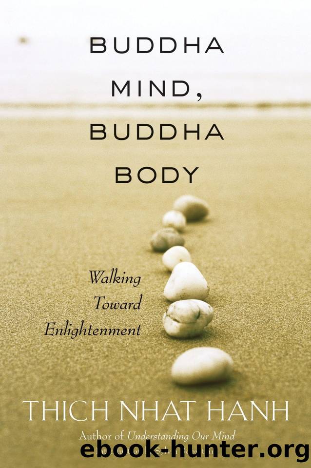 Buddha Mind Buddha Body by Thich Nhat Hanh