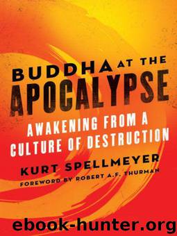 Buddha at the Apocalypse: Awakening from a Culture of Destruction by Spellmeyer Kurt