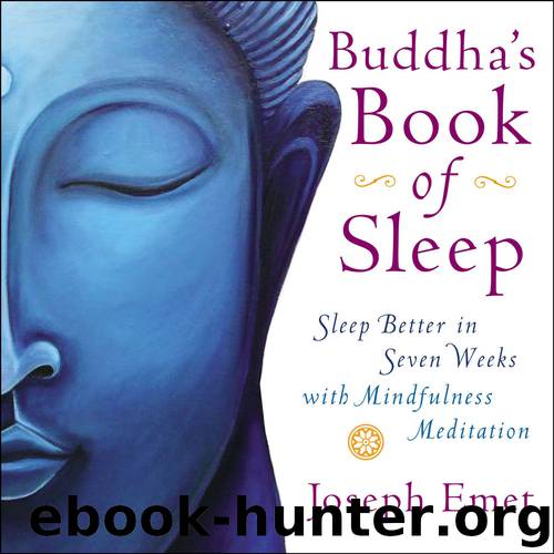 Buddha's Book of Sleep by Joseph Emet
