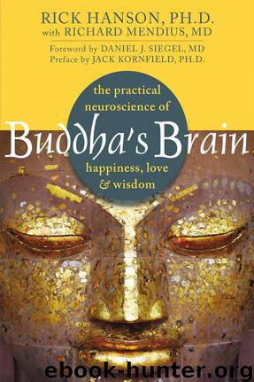 Buddha's Brain: The Practical Neuroscience of Happiness, Love and Wisdom by Rick Hanson