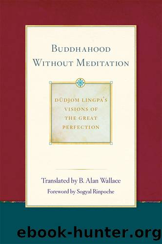 Buddhahood Without Meditation by B. Alan Wallace