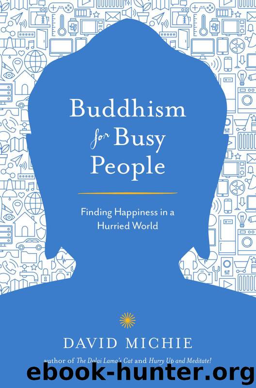 Buddhism for Busy People by David Michie