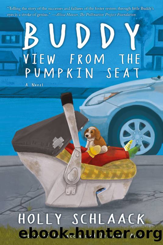 Buddy by Holly Schlaack