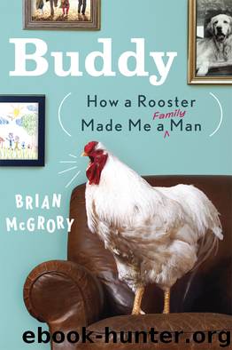 Buddy: How a Rooster Made Me a Family Man by Brian McGrory