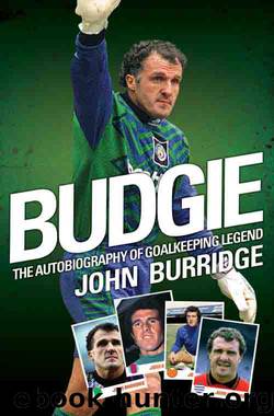Budgie by Burridge John
