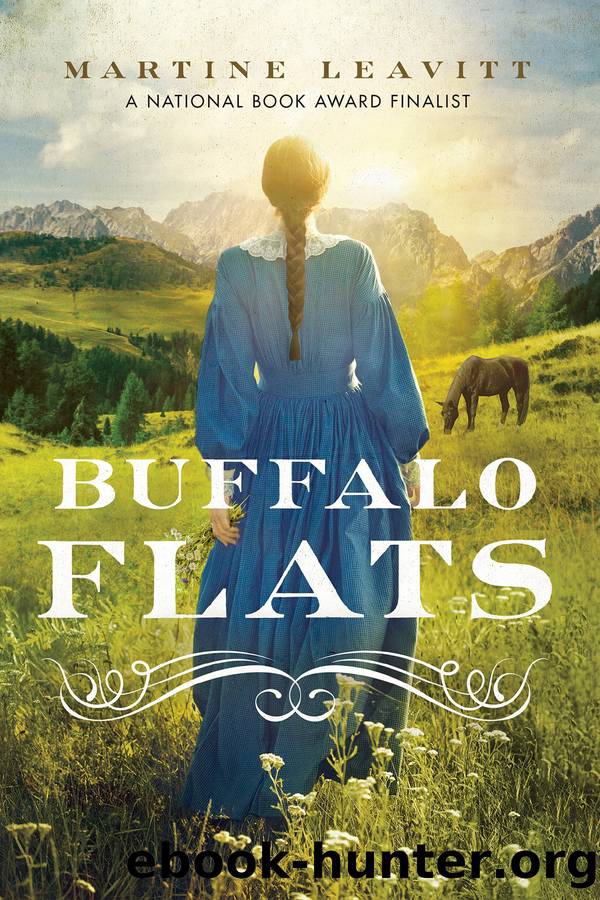 Buffalo Flats by Martine Leavitt
