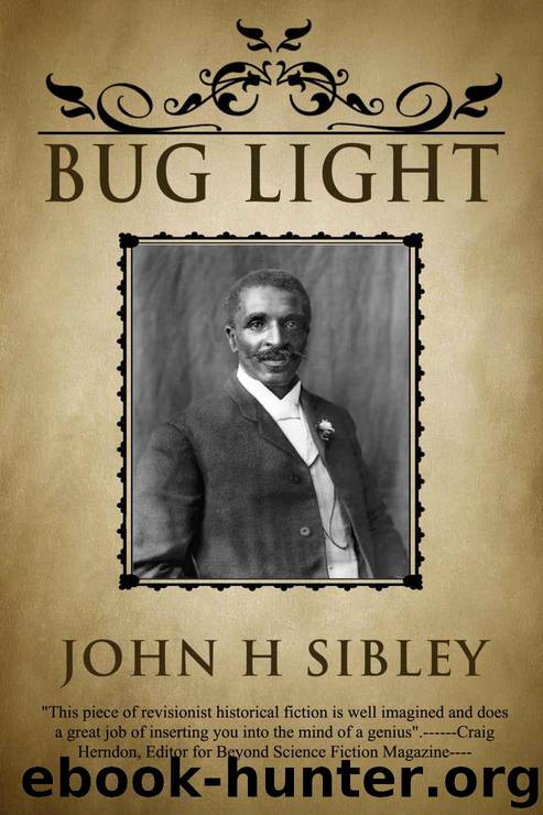 Bug Light by Sibley John