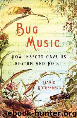Bug Music: How Insects Gave Us Rhythm and Noise by Rothenberg David