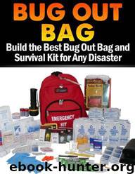 Bug Out Bag: Build the Best Bug Out Bag and Survival Kit for Any Disaster by Sasha Fields