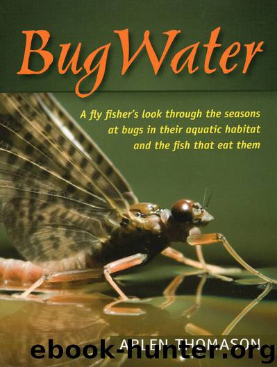 BugWater by Arlen Thomason