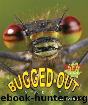 Bugged-Out Insects by Margaret J. Anderson