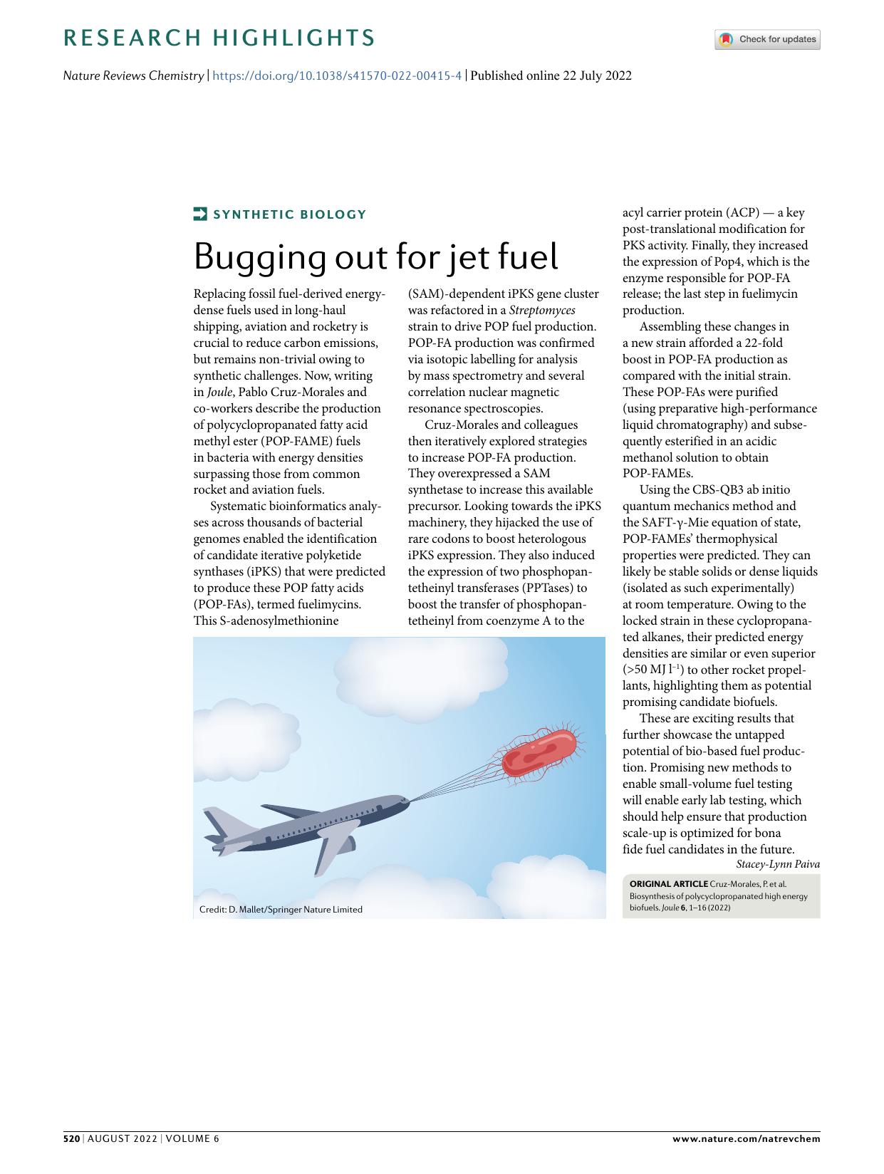 Bugging out for jet fuel by Stacey-Lynn Paiva