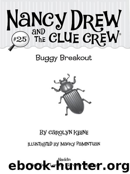 Buggy Breakout by CAROLYN KEENE