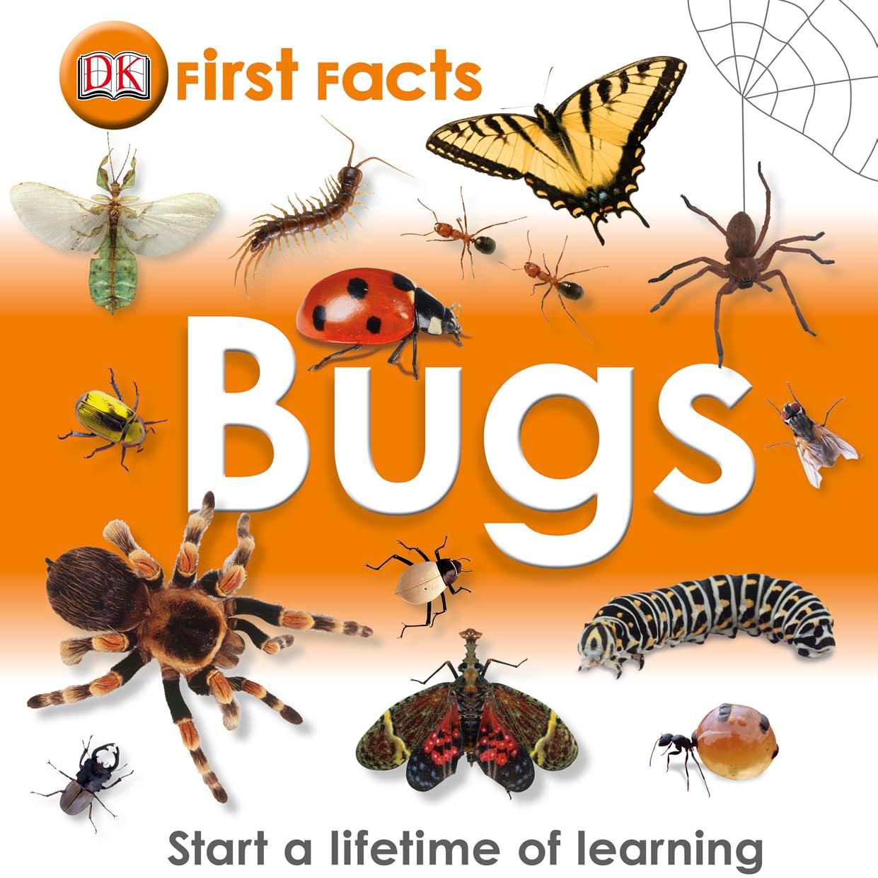 Bugs (First Facts) by DK Publishing