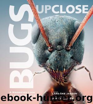 Bugs Up Close: A Magnified Look at the Incredible World of Insects by Lars-Åke Janzon John Hallmén