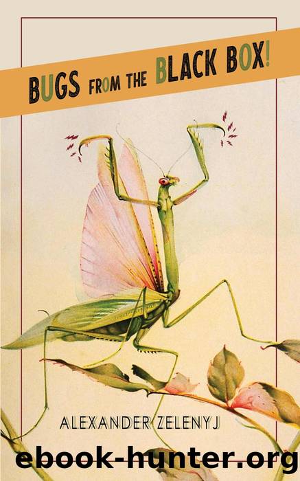 Bugs from the Black Box! by Alexander Zelenyj