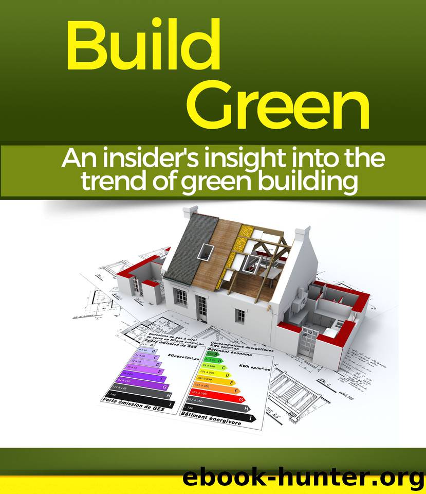 Build Green: An insider's insight into the trend of green building by Schröder Christian