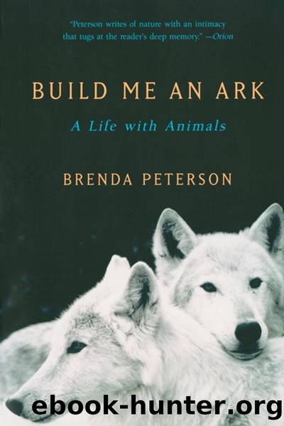 Build Me an Ark by Brenda Peterson