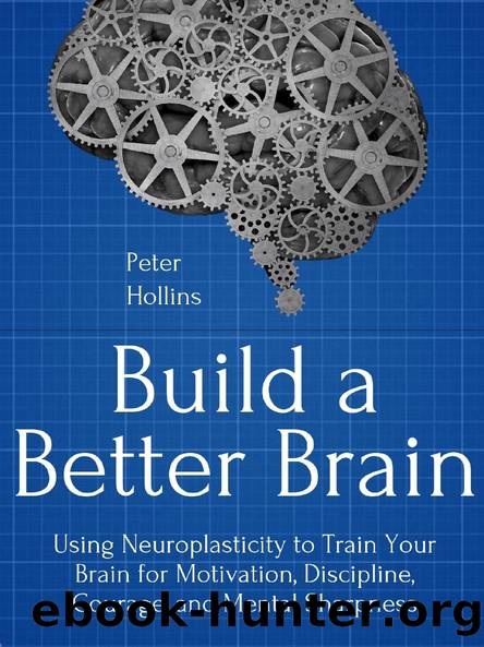 Build a Better Brain by Peter Hollins
