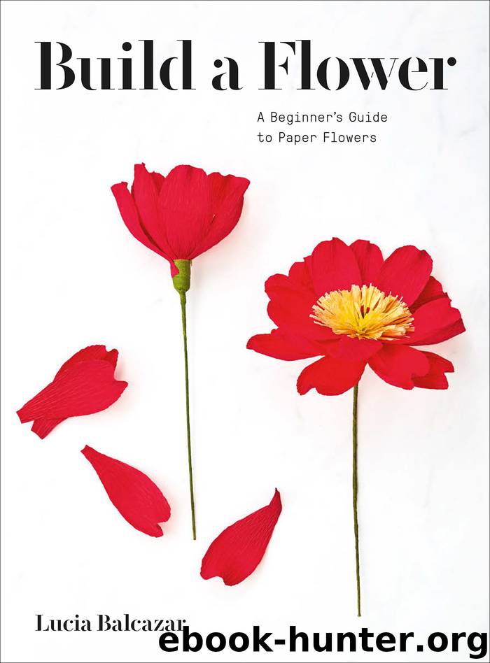 Build a Flower by Lucia Balcazar