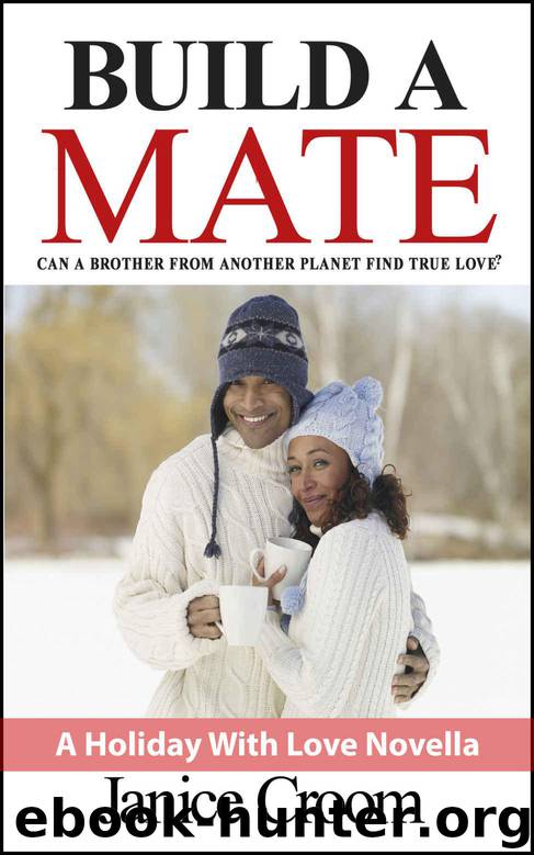Build a Mate (A Holiday With Love Novella) by Janice Croom