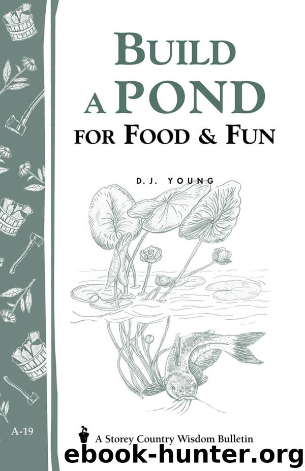 Build a Pond for Food & Fun by D. J. Young