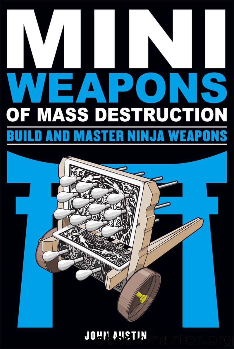 Build and Master Ninja Weapons by John Austin