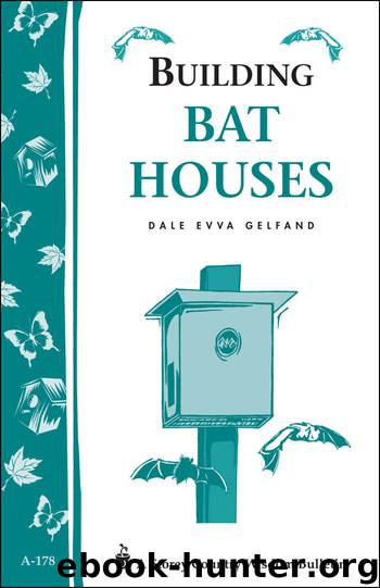 Building Bat Houses by Dale Evva Gelfand