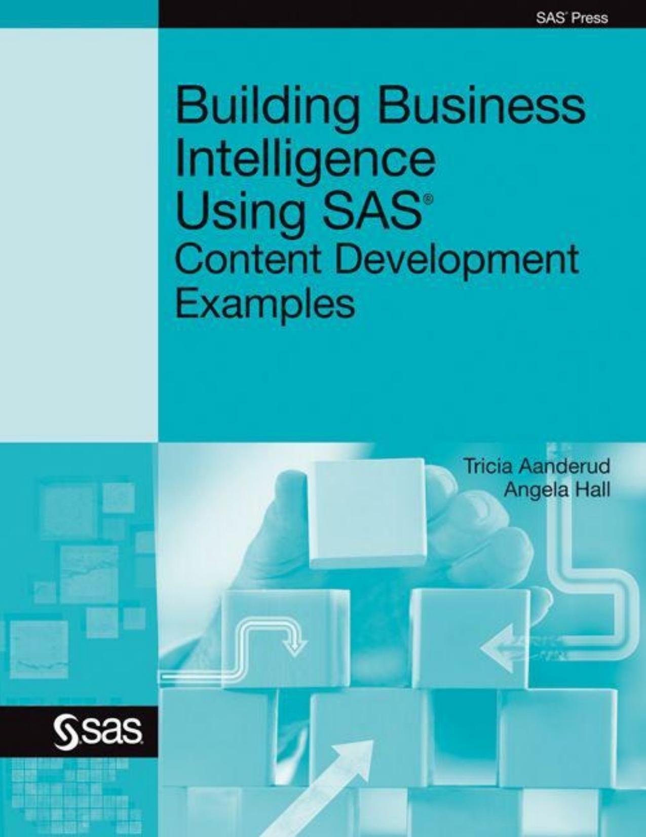 Building Business Intelligence Using SAS. by Aanderud Tricia